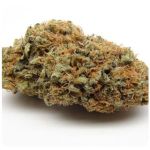 Шишки AK47  (Гидропоника, Бошка) VHQ в Воронеже